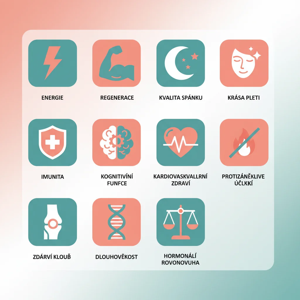 Přehled všech benefitů red light terapie