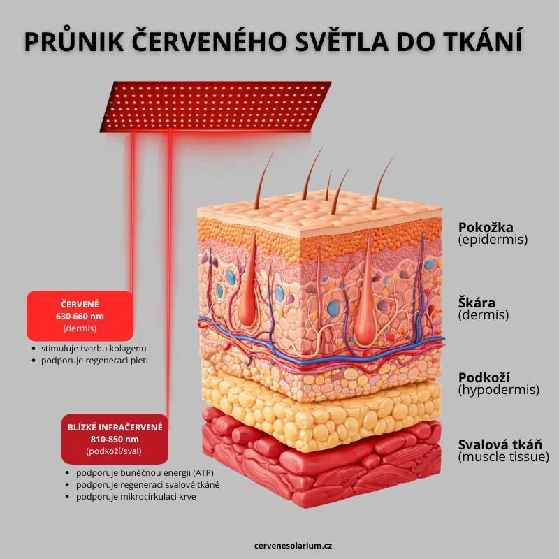 Penetrace vlnových délek do kůže