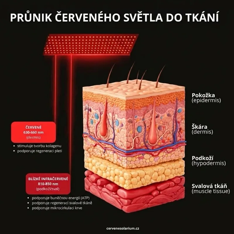 Penetrace vlnových délek do kůže